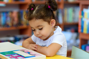 The glue: Enabling connected and quality early years services